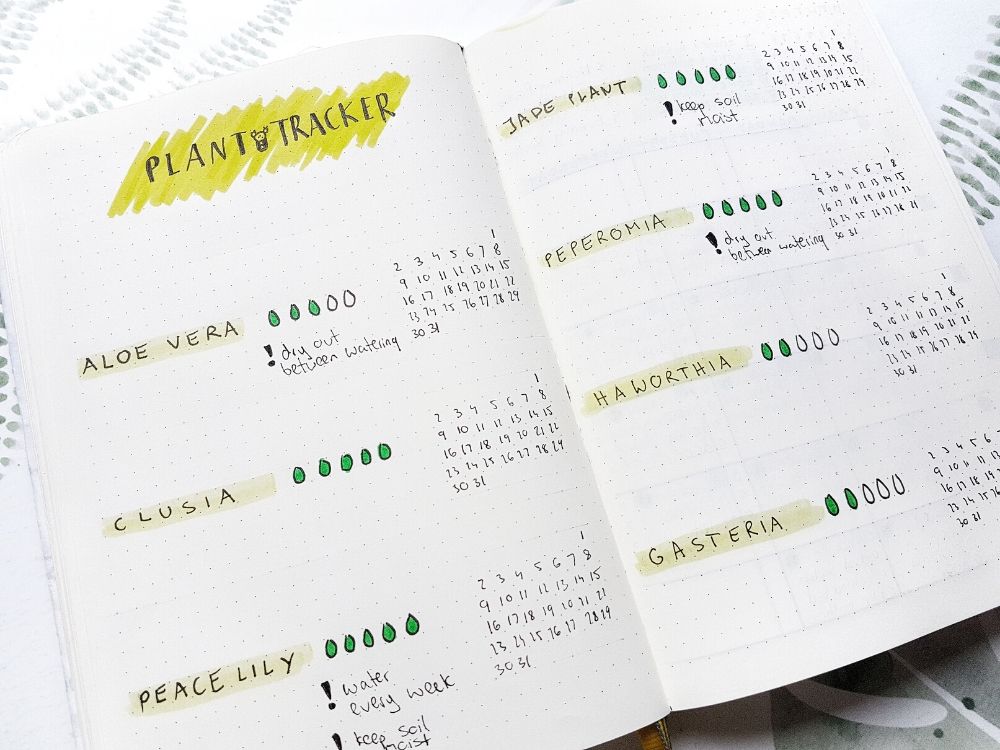 Plant Tracker Creative Bullet Journal Pages
