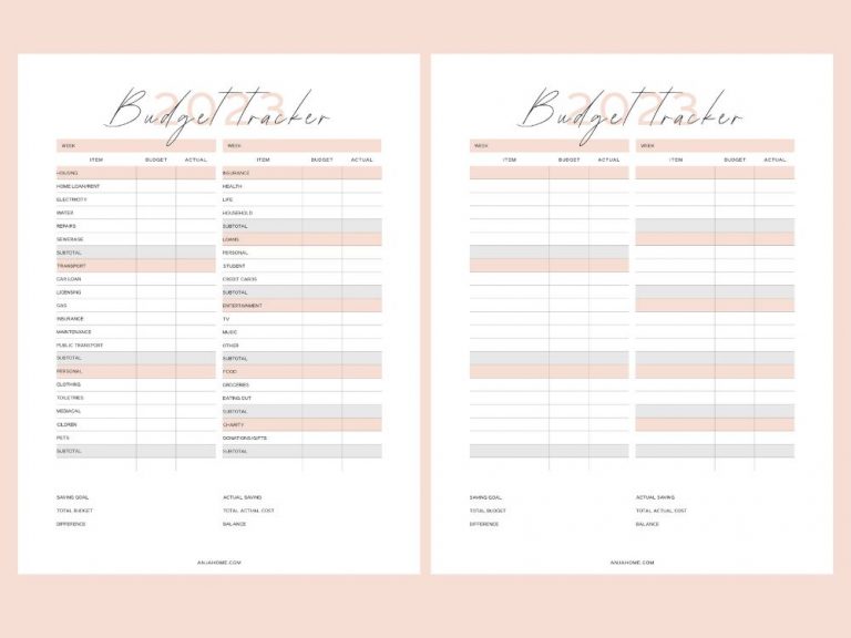 Bullet Journal Budget Layouts 2024 - AnjaHome