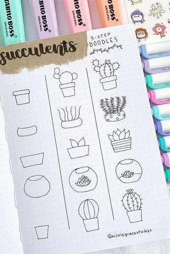 succulent drawings step by step