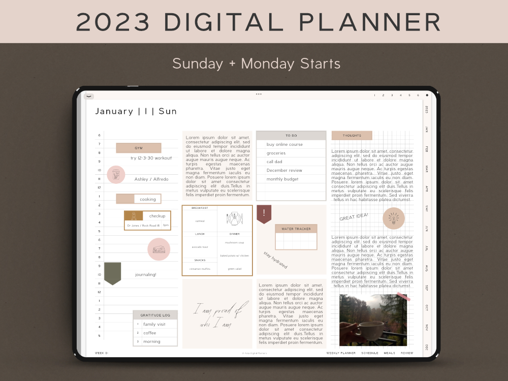 aesthetic cute iPad pro planner, goodnotes template pdf