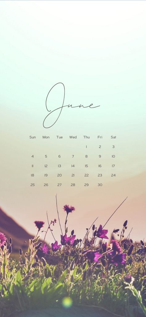 Floral June Background Wallpaper