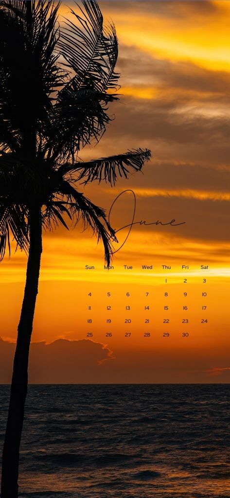 Tropical palm sunset June 2023 Calendar Wallpaper