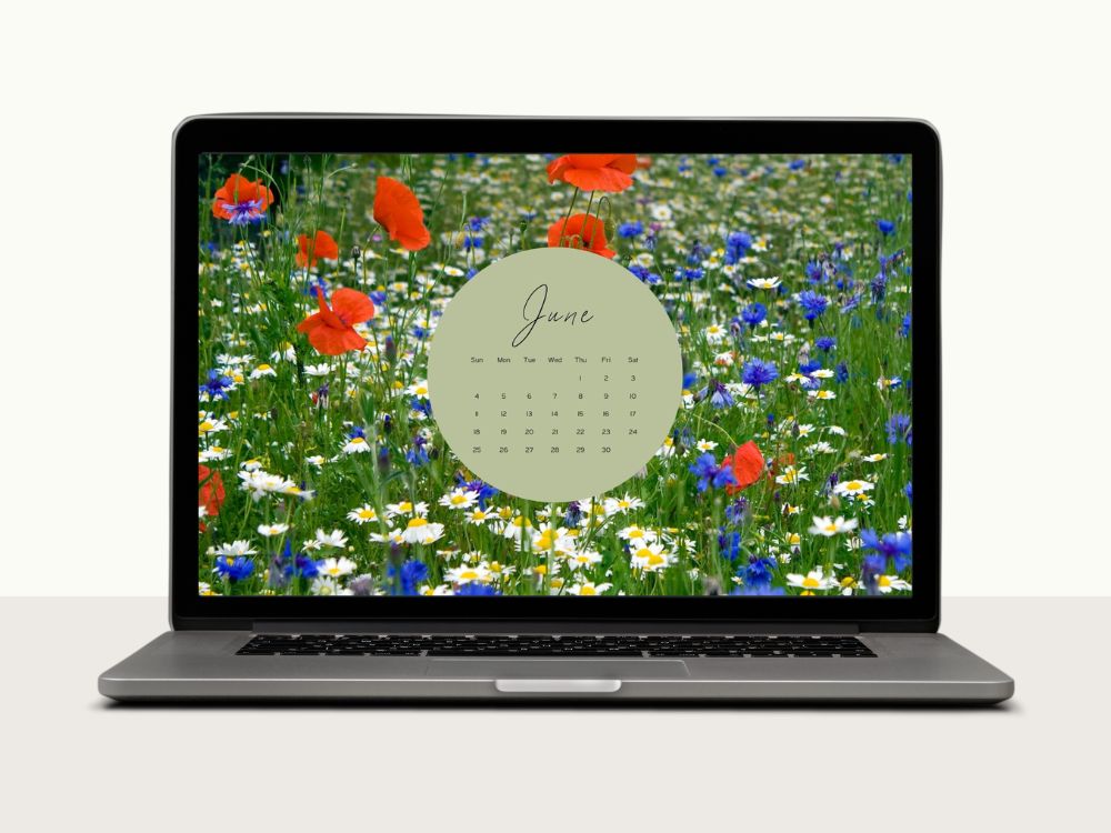wild flowers aestetic desktop