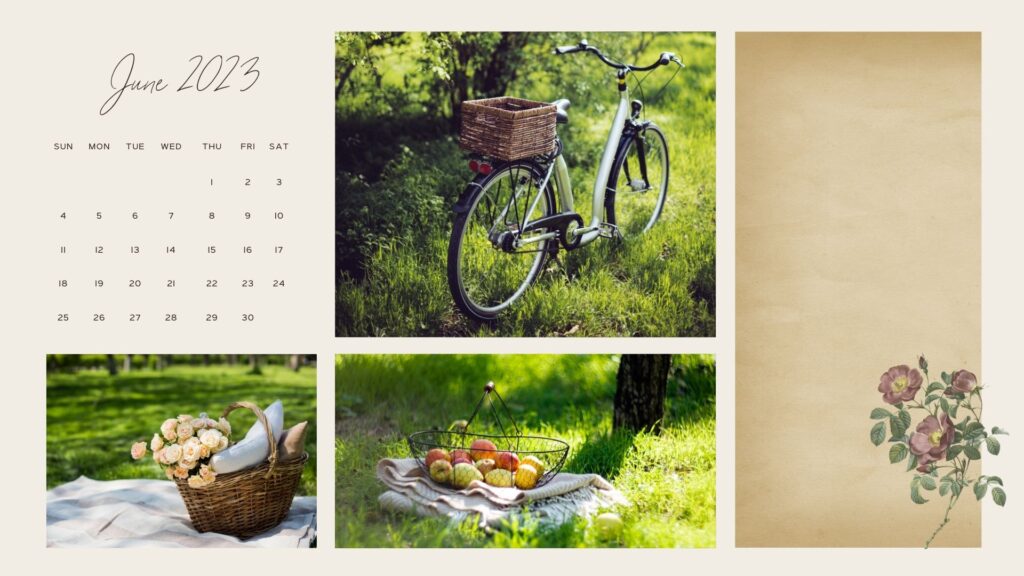bicycle pretty June Calendar Wallpaper