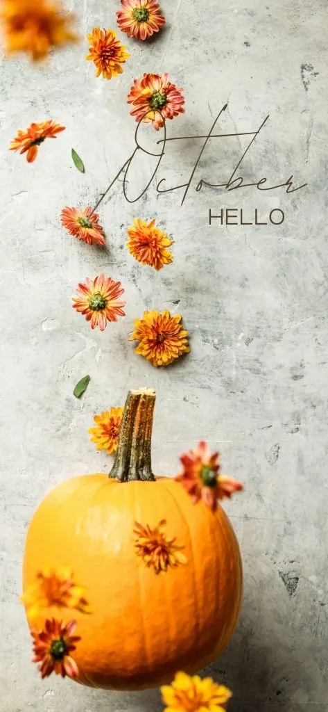 hello October Flower Wallpaper iPhone Aesthetic