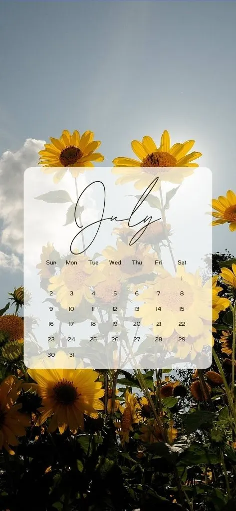 iphone background aesthetic sunflowers