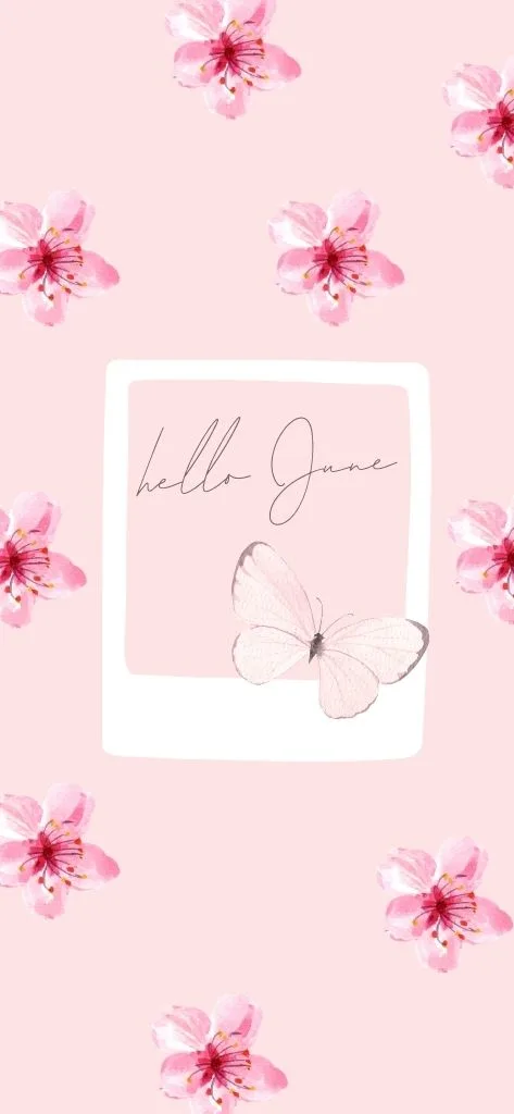 hello June Flower Wallpaper iPhone Aesthetic