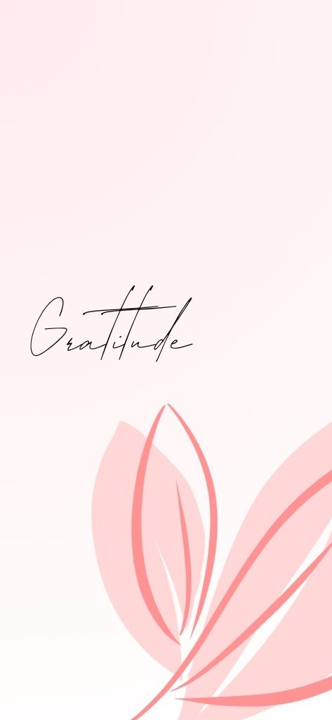 flower pink daily affirmation wallpaper
