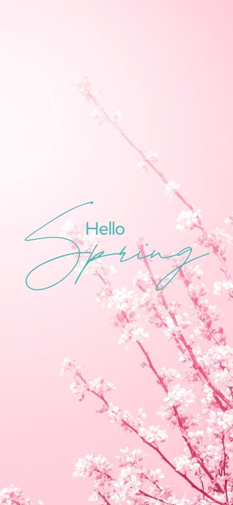 hello spring pink sky flowers