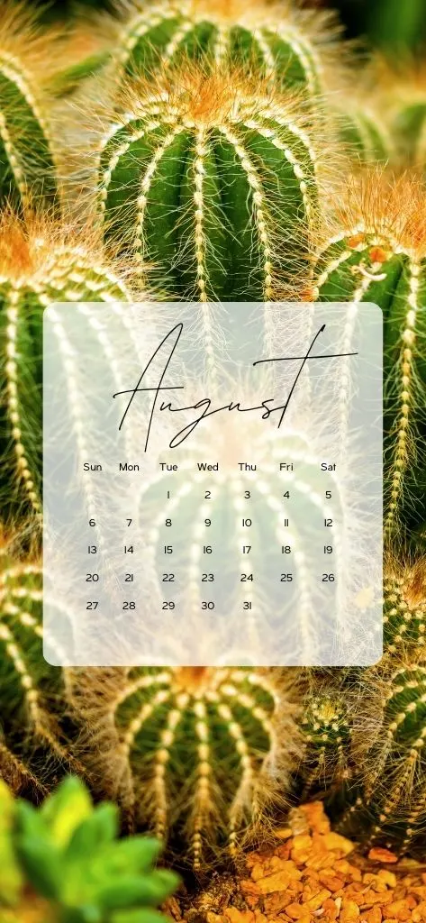 calendar wallpaper for iphone cactus