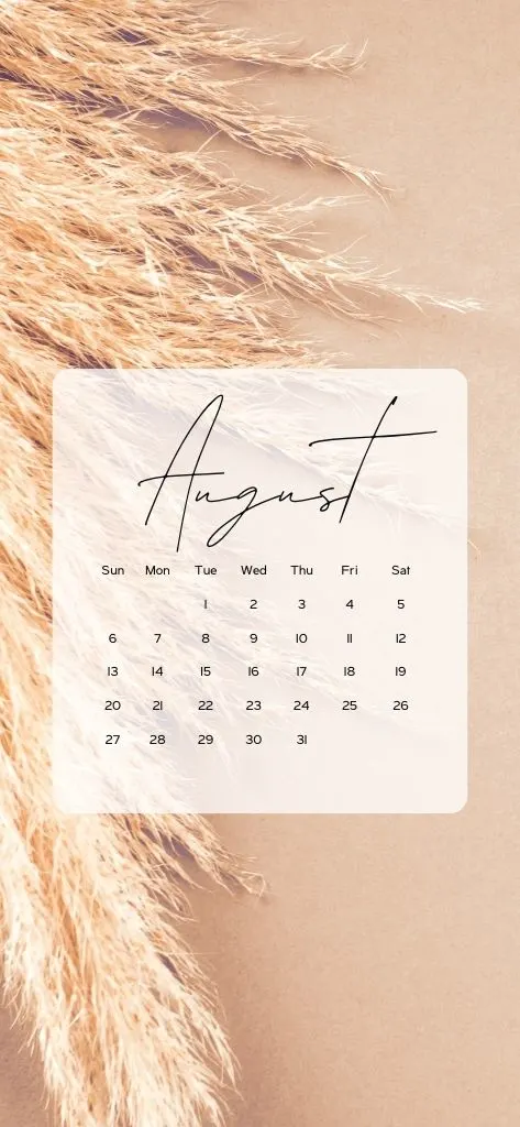 iphone wallpaper calendar pretty
