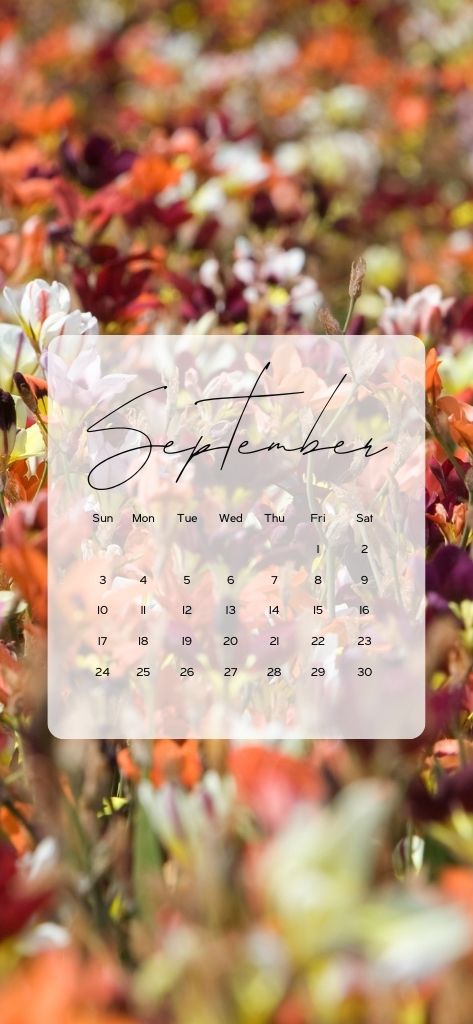 sept backgrounds fall flowers