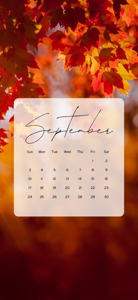 september wallpaper iphone aesthetic fall leaves