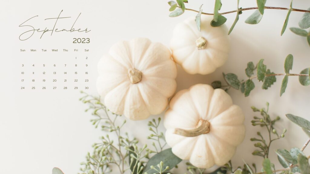 september desktop wallpaper 2023 aesthetic white green pumpkin
