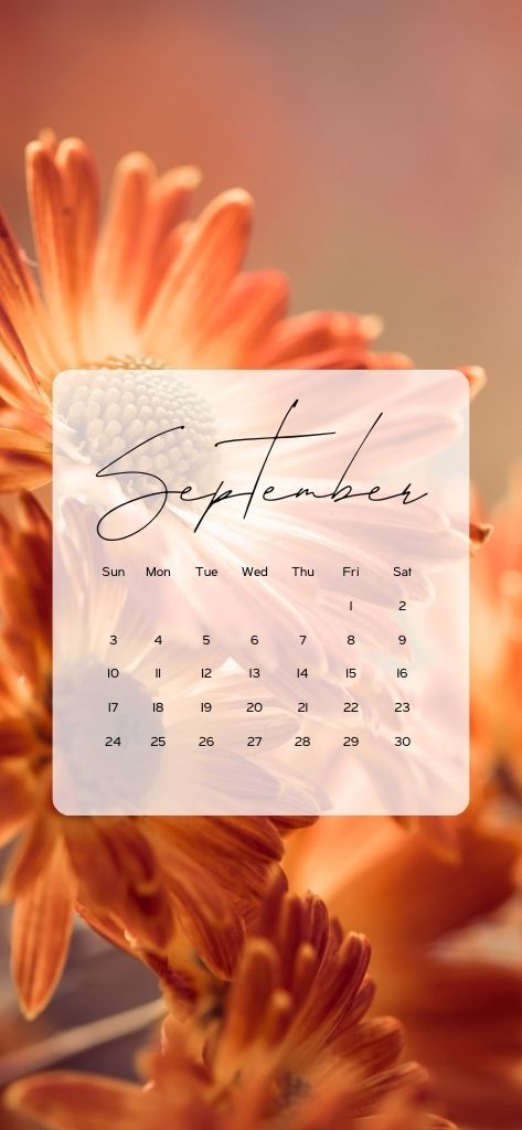 september phone background fall flowers