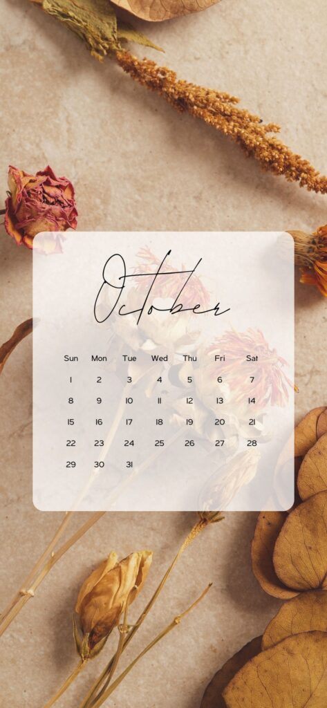 october aesthetic wallpapers phone
