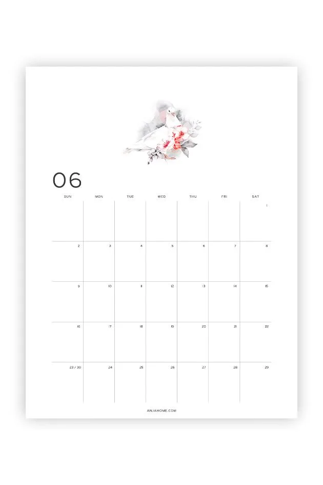 june 2024 calendar image