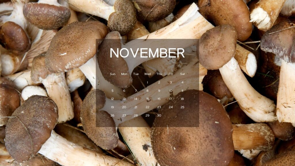 november background wallpaper iPad