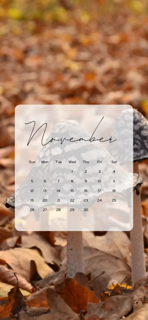 november background iphone aesthetic fall