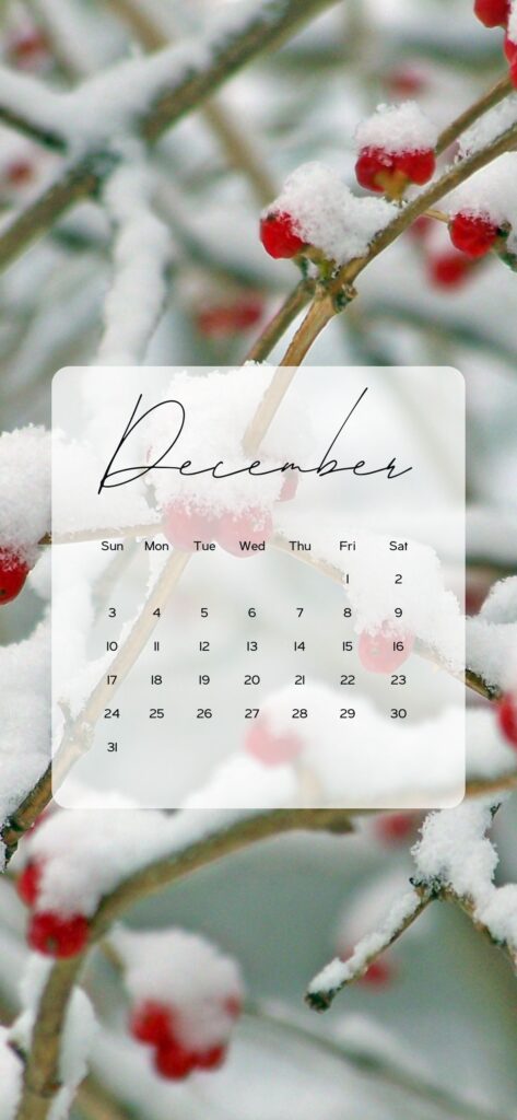 december iphone backgrounds winter wonderland