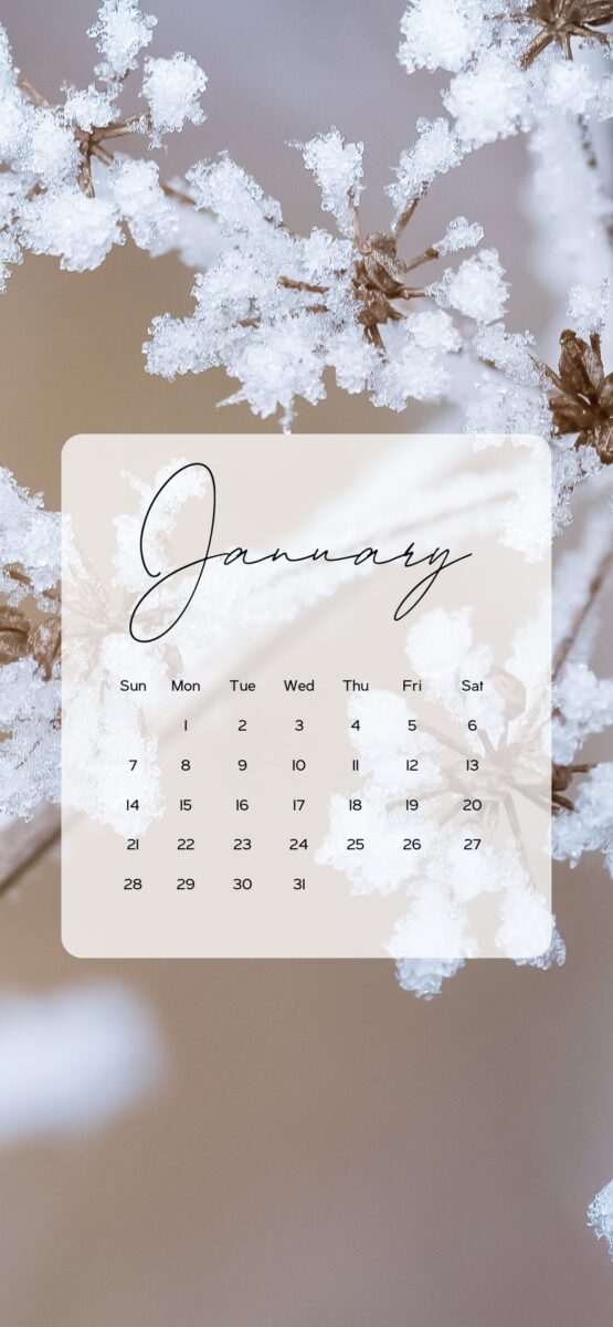 January Calendar Wallpaper Aesthetic Backgrounds AnjaHome