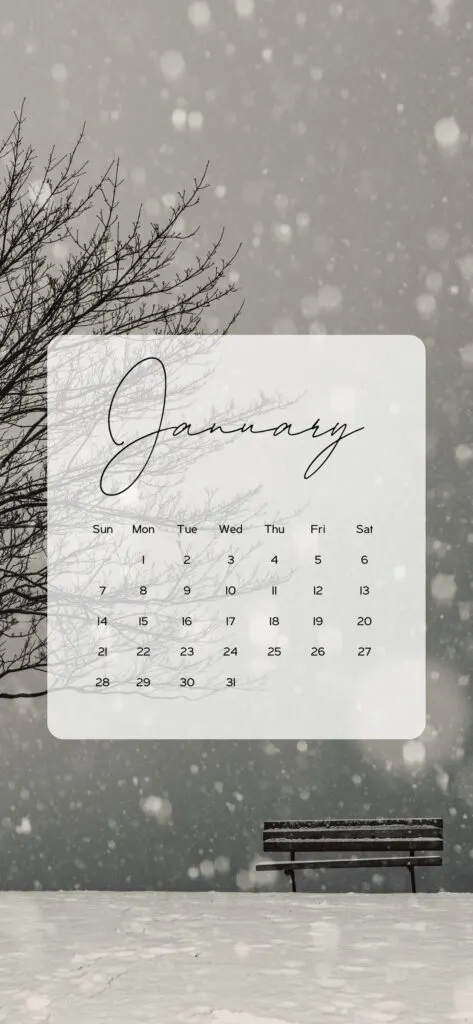 calendar screen background black white