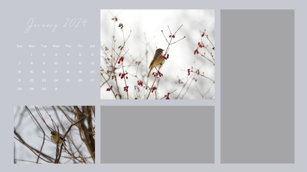 january calendar desktop winter