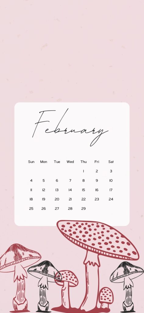 aesthetic february calendar minimalist