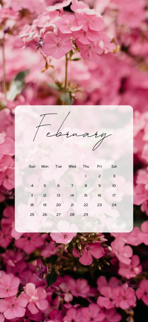 february screen background floral