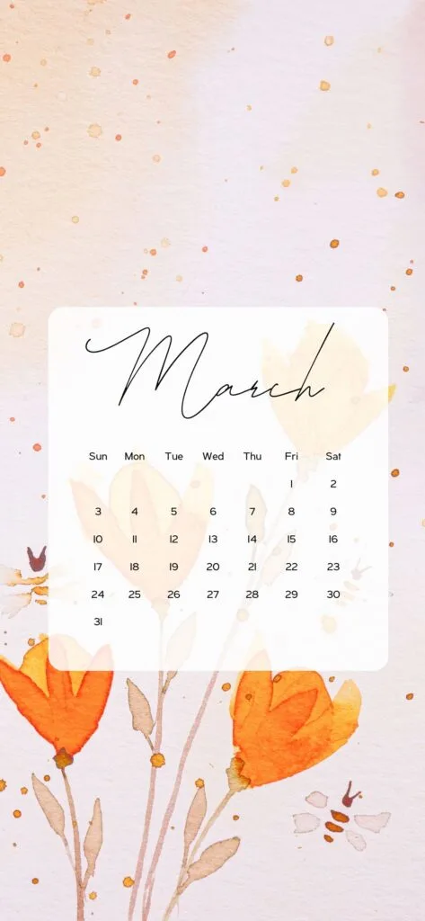cute march backgrounds minimalist spring flowers