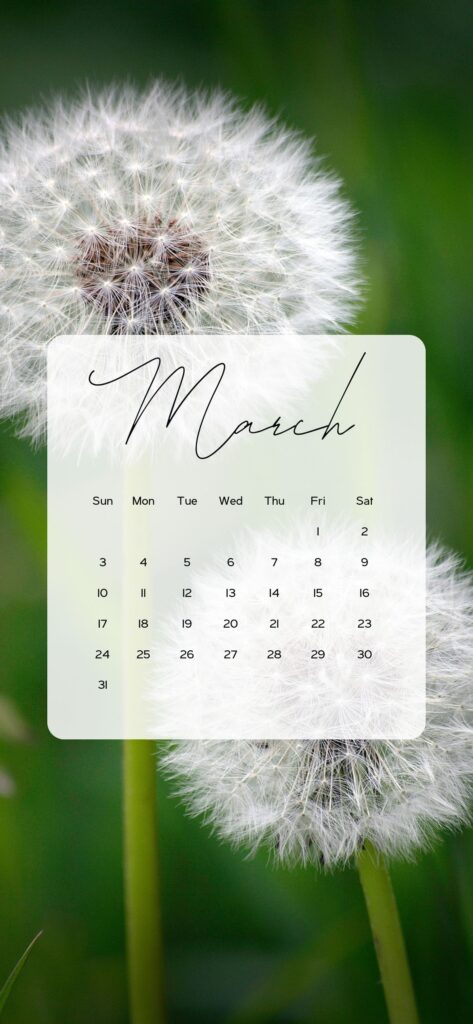 free march wallpaper simple dandelions green white