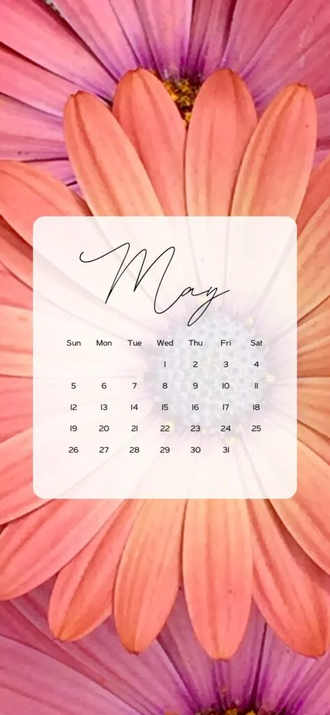 aesthetic May calendar wallpaper pink