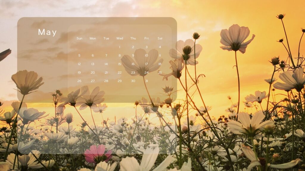 calendar desktop backgrounds aesthetic organizer