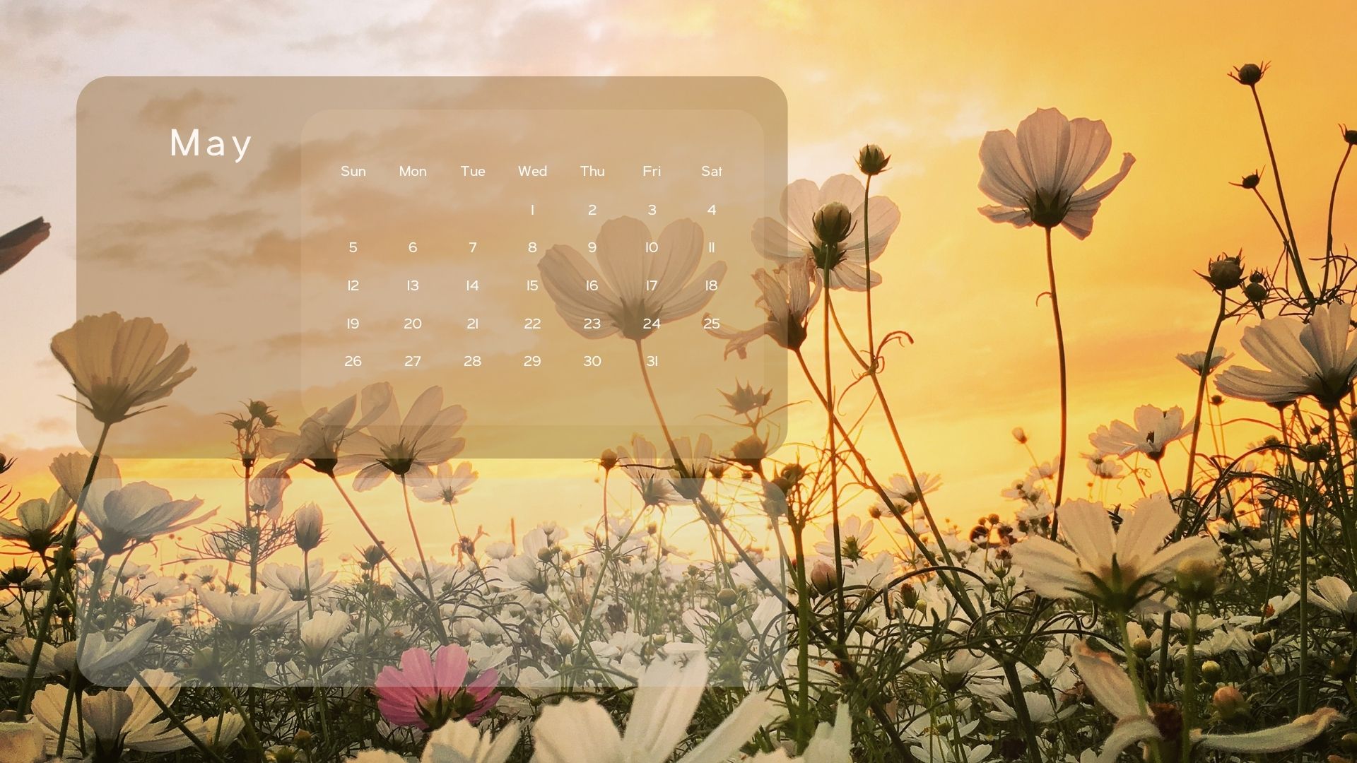May Desktop Wallpaper May 2024 Calendar Desktop Wallpapers Free May Desktop Wallpaper May 2024 Calendar Desktop Wallpapers Free