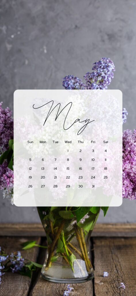 may background wallpaper flowers spring violet purple