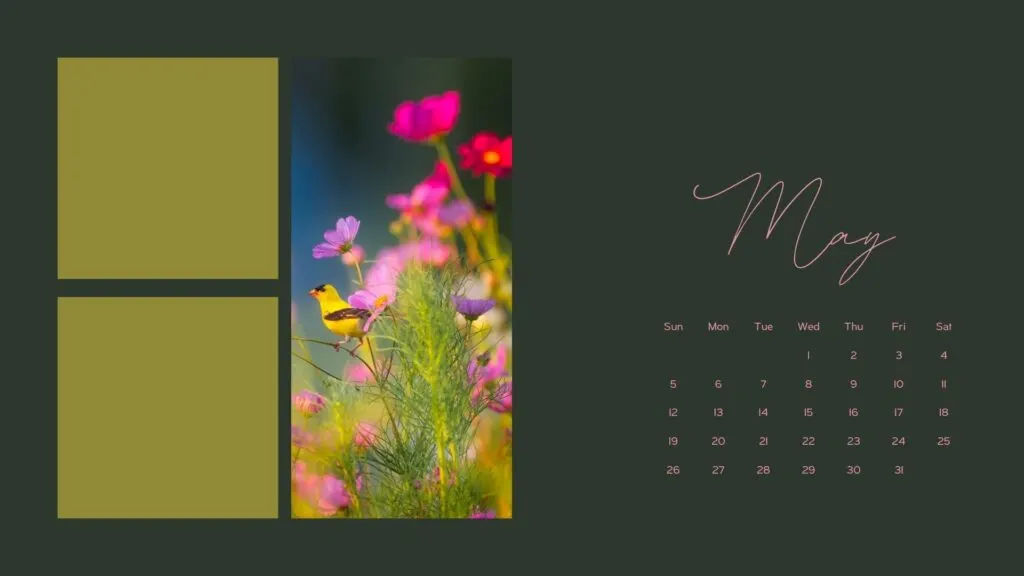 may desktop calendar wallpaper dark green