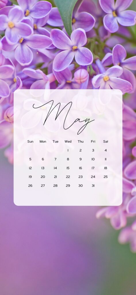 may wallpaper iphone purple violet flowers