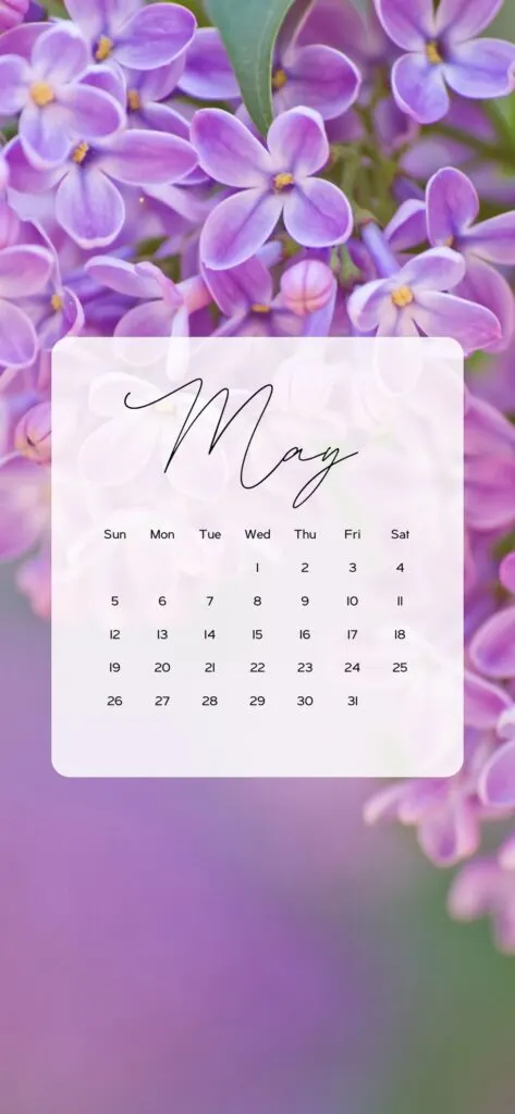 may wallpaper iphone purple violet flowers