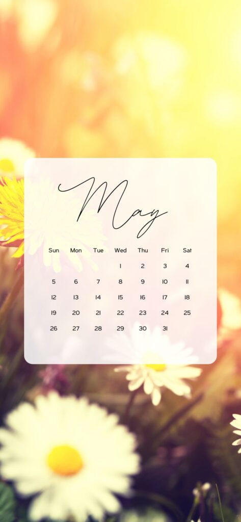 pink cute May background flowers spring