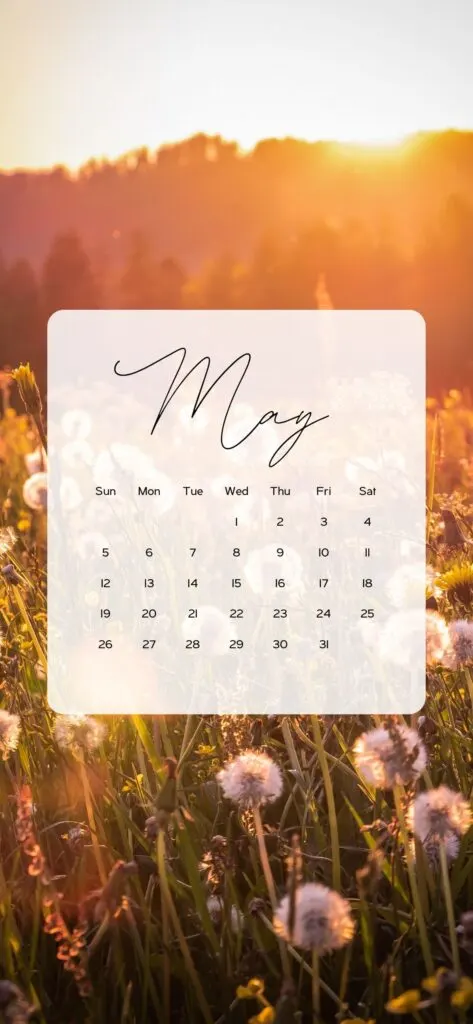 wallpaper for may floral spring