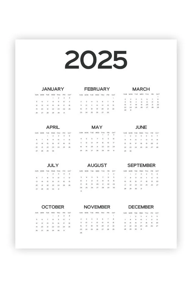 minimalist year at a glance 2025