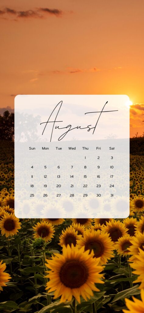 aesthetic flower boho august wallpaper