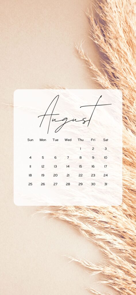 iphone wallpaper calendar boho aesthetic