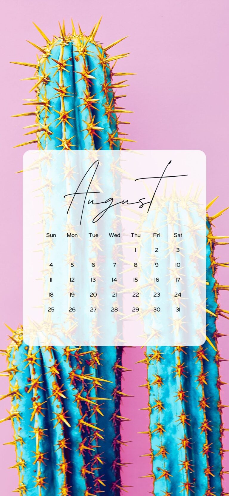 August Wallpapers Calendar Backgrounds 2024 AnjaHome august-wallpapers-calendar-backgrounds-2024-anjahome